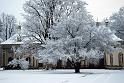 2011-01-24, Schnee (4)